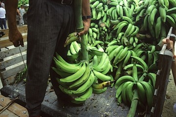 Mercato delle banane in Colombia