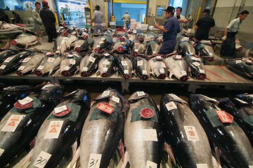 Expo 2015 – Il mercato del pesce di Hokkaiddo