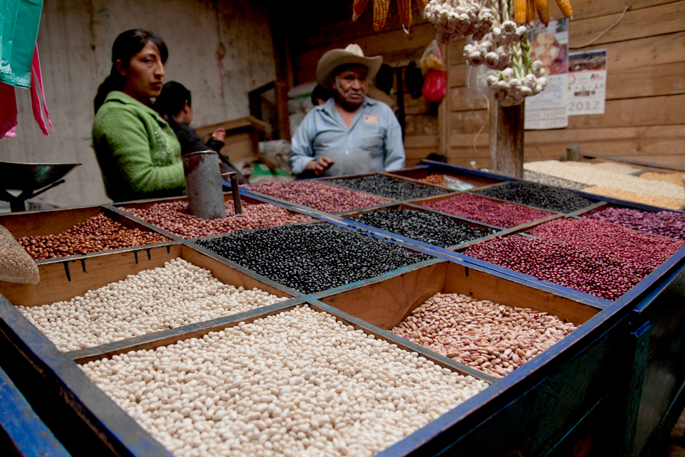 San Cristobal Market002